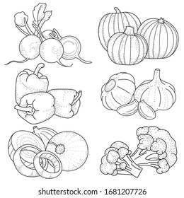 Set of hand drawing vegetables; doodle vegetables for stickers, posters, web design. Black and white vector illustration.