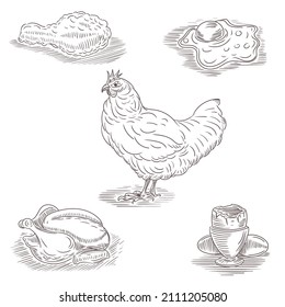 Set of hand drawings on Chicken theme.