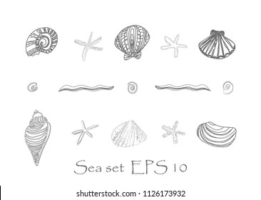 A set of hand drawings with seashells, starfish and seaweed. Vector illustration. Design element.