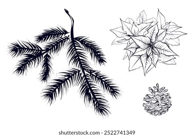 um conjunto de desenhos à mão de ramos de abeto, cones, ilustração de vetor poinsettia