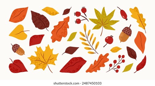 Set of hand drawn abstract autumn leaves and berries. Fall leaves, maple, acorns, berries, oak, rowan. Vector trendy flat illustration.