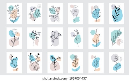 Set of Hand drawn abstract botanical. Contemporary poster set of potted flowers boho style. vector illustration