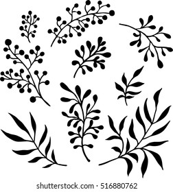 Set of hand drawn abstract branch and leave