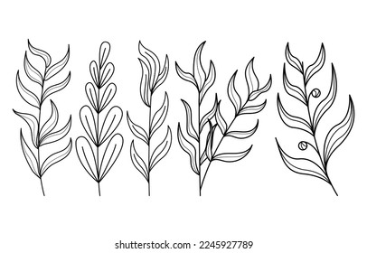 Set of hand drawn abstract doodle tree branches collection