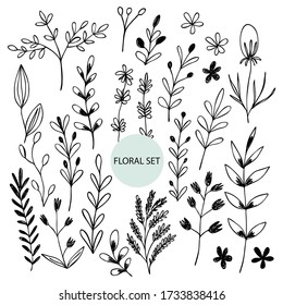 Set of hand drawn abstract floral sprigs silhouette. Black and white outline vector illustration. Decorative branches. Spring and summer leaf icons collection. Doodle style.
