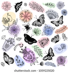 Set of hand drawn abstract flowers, plants, butterflies and birds isolated on white background. Vector illustration.