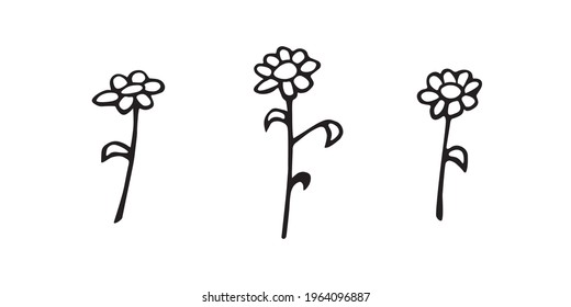 Set of hand drawn abstract Flowers on branch. Black and white stylized botanical elements for design isolated on white background. Vector illustration in doodle style