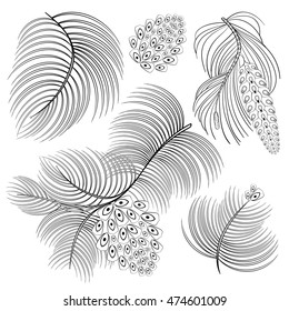 Set of Hand drawn abstract spruce branches and cones. Zentangle patterned vector illustration isolated on white background. Sketch for t-shirt design, post card, tattoo. Autumn collection