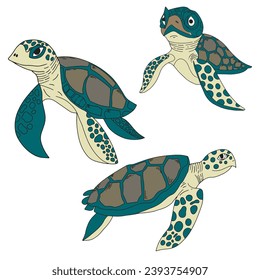 Set of hand drawn adorable green sea turtle cartoon cute animal