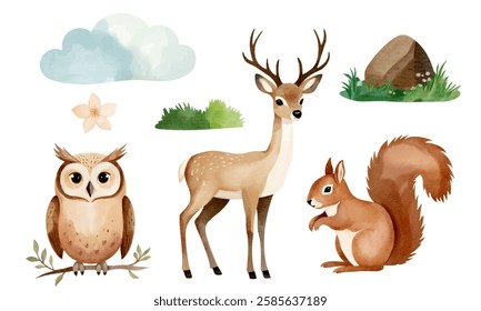 Set of hand drawn animals and forest elements. Reindeer, squirrel, owl. Watercolor woodland animals. 