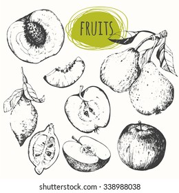 Set of hand drawn apple, lemon, pear, peach. Fresh organic products. Vector illustration with sketch fruits. Black and white of food.