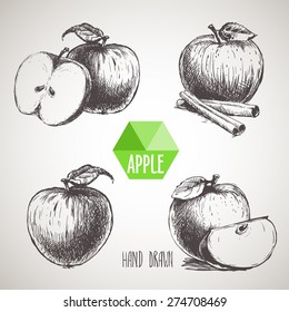 Set of hand drawn apple.  Organic eco food.Vector picture set