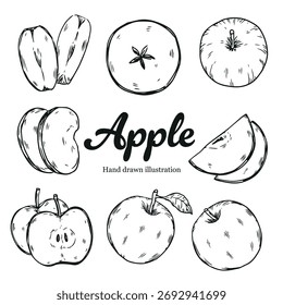 Set of hand drawn apple outline drawing illustration