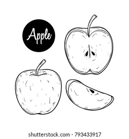 set of hand drawn apple with two type of slice