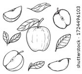 set hand drawn apple vector