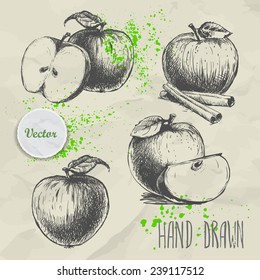 Set of hand drawn apple. Vintage sketch style illustration. Organic eco food