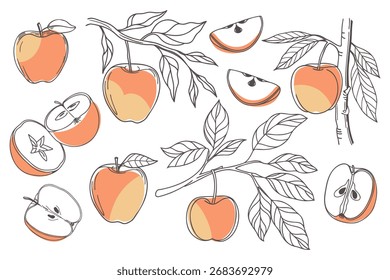Set of hand drawn apples. Apple fruit outline set. Collection of apple sketches with colors. Illustration.
