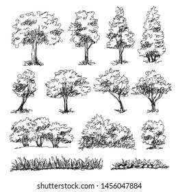 Architecture Drawing Trees