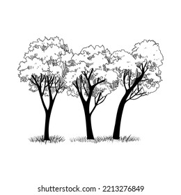 Conjunto de árboles de arquitecto dibujados a mano, silueta, colección de boceto de la ilustración vectorial de la plantilla gráfica.