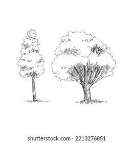 Set of hand drawn architect trees, silhouette, sketch collection graphic template vector illustration.