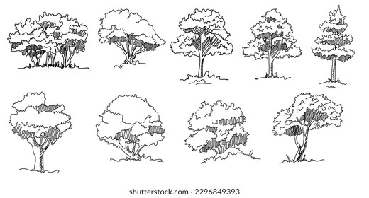 Set of hand drawn architect trees. Tree Sketch Architectural illustration landscape