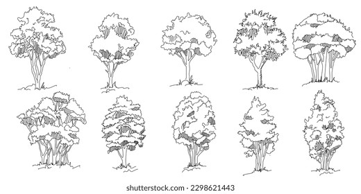 Set of hand drawn architect trees. Tree Sketch Architectural illustration landscape