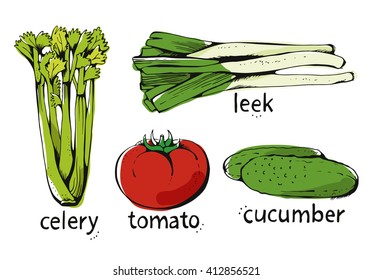Set of hand drawn assorted color vegetables, celery, leek, tomato, cucumber. Vector illustration isolated on white background