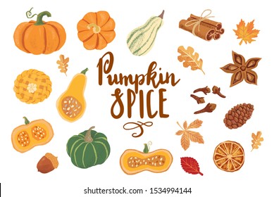 Set of hand drawn Autumn elements. Thanksgiving Collection of different pumpkins kinds, halfs and wholes, pumpkin pie, spices, autumn leaves, cone and acorn. With lettering text Pumpkin Spice.