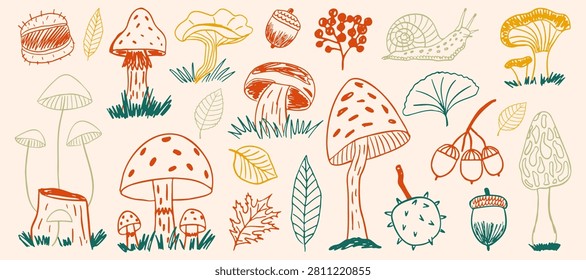 Set of hand drawn autumn elements with mushrooms, leaves, acorns, chestnuts, berries and snail. Outline forest nature in vintage style.