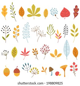 Set of hand drawn autumn floral design elements.