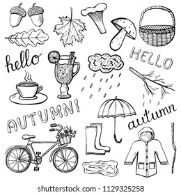 Set of hand drawn autumn icons. Cute doodle design elements. Black and white vector illustration isolated on white background