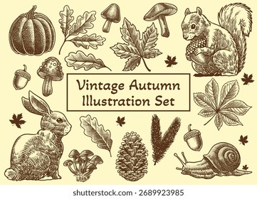 Conjunto de Ilustraciones de otoño dibujadas a mano