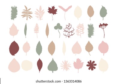 Set of hand drawn autumn leaves. Isolated silhouette. Vector illustration.
