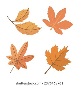 Set of Hand drawn Autumn Leaves beautiful fall leaves 
