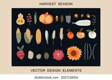 Set of hand drawn autumn season vegetables and fruits. Retro rustic style. Contemporary drawing. Vector graphics