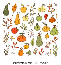Set of hand drawn autumnal elements - Apples, pumpkins, leaves, berries - Vector illustration isolated objects
