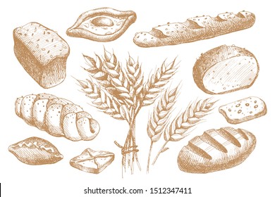 Set of hand drawn bakery products, pastries, loaves, long loaf and ears of wheat. Yummy buns for the bakery shop. Vector illustration on light isolated background.