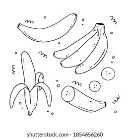 Set of hand drawn banana fruit. Doodle sketch line style illustration for diet, healthy food, nature eat design.