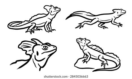 Set of hand drawn basilisk lizard line art illustrations