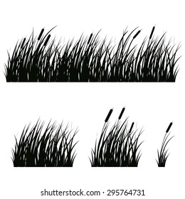 Set Of Hand Drawn Beach Grass. Vector.