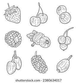 Conjunto de tintas de bayas dibujadas a mano. Fresa, cereza, arándano, arándano, frambuesa, arándano, currante, uva, morera, brier. Para el menú, libro de recetas, diseño de elementos educativos, colorantes