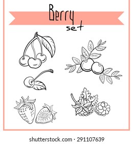 Set of hand drawn berries on the white background. Vector illustration