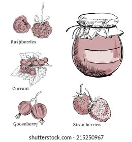 set of hand drawn berries and a pot of home made jam