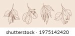 Set of hand drawn birch, alder, willow, linden