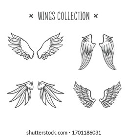 Set of hand drawn bird or angel wings of different shape in open position.