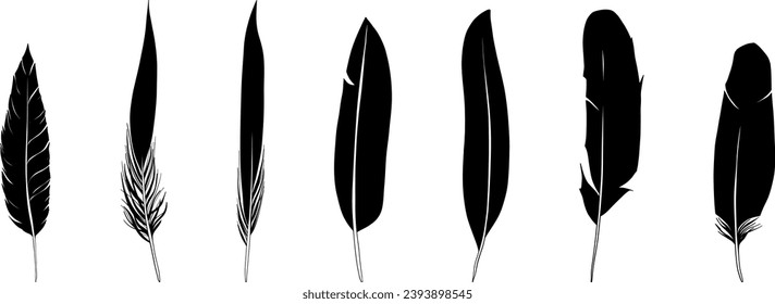 Set of hand drawn bird feathers. Vector clip art of isolated silhouettes.