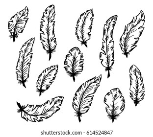 Set of hand drawn bird feathers. Monochrome drawing elements isolated on white background. Vector illustration.