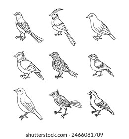 A Set of Hand Drawn Birds for Coloring Page