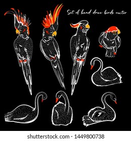 Set of hand drawn birds dooldle line style in vector on black background color