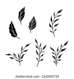 Set of hand drawn black abstract branches and leaves. Simple vector illustration of silhouettes.
